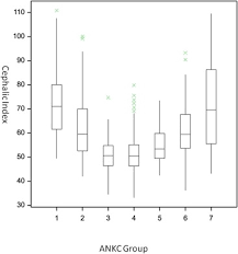 Domestic Dog Skull Diversity Across Breeds Breed Groupings