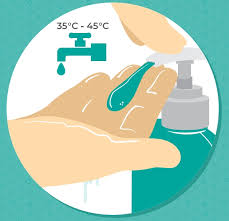 External icon int j environ health res. Hand Washing Steps 7 Nhs Techniques