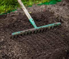 You want to make sure you're getting the most value from also choose one that will work with your existing grasses. How To Plant Grass Seed