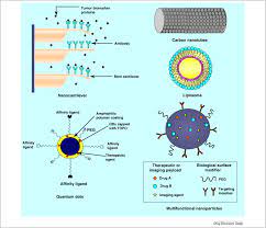 Cancer Nanotechnology Application Of Nanotechnology In Cancer Therapy Sciencedirect