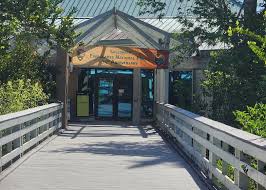 The Perfect One Day Itinerary at Everglades National Park (South)