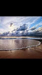 Our year begins, quiet and full of promise., A cure waits