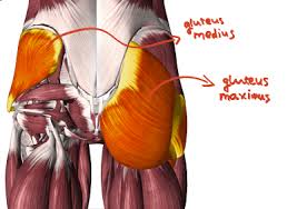 the best exercises for the glutes