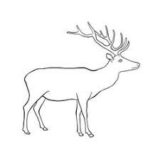 Drawing Deer Vector Images (over 30,000)