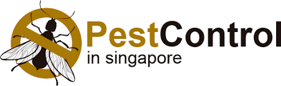 Your trust is our main concern so these ratings for star pest control pte ltd are shared 'as is' from employees in line with our community guidelines. Pest Control Singapore Pest Termites Bed Bugs Control
