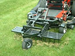 Augustine and many others so you can choose the best sod to repair your lawn. When And Why To Dethatch Your Lawn Clean Cuts Of St Augustine