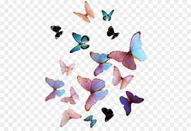 Maybe you would like to learn more about one of these? Watercolor Butterfly Background Png Download 480 604 Free Transparent Butterfly Png Download Cleanpng Kisspng