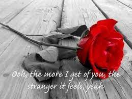 Tout ce qu'il faut savoir sur le single « kiss from a rose », info actualité, potins. Kiss From A Rose Seal Lyrics Youtube