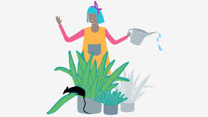 Until you can seal up your house or solve the problem another way, you may need to get rid of your plants. Rats In Garden Environ Pest Control