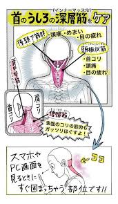 ボード 筋肉 のピン