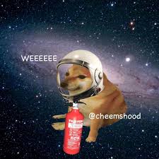 Doge follow your dreams res: Cheems Bonk Doge Meme Coffee Tea Mug 11oz Latest Cheems Etsy Funny Dog Gifts Mugs Tea Mugs