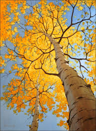 Birch Trees In Fall Photos Pin By Nancy Wallace On Trees Please Tree Art Painting Art
