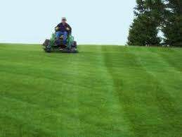 Effortlessly book experienced denver lawn services like travis' lawn & garden, denver lawns and aeration and nsc solutions. Lawn Mowing Service Low Lawn Cutting Prices In Ames Ia Property Service Agency