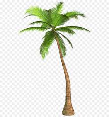 Find & download free graphic resources for clip art. Palma Png