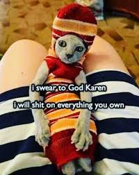 I Swear To God Karen Funny Cat Memes Funny Memes Sarcastic Funny Memes Comebacks