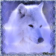 Maybe you would like to learn more about one of these? Images Of Anime White Wolf Blue Eyes