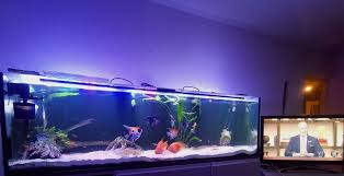 Image result for site:byggahus.se platt-tv