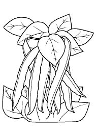 Page 37 Sur 44 Sur Hugolescargot Com Coloriage Coloriage Automne Dessin Fruits
