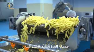 خط انتاج بطاطس نصف مقلية French Fries Production Line Youtube