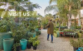 Book now your hotel in san rafael and pay later with expedia. Flora Grubb Gardens