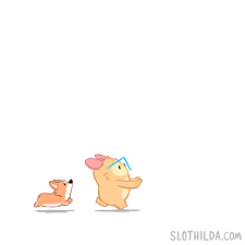 Happy thanksgiving text sign flat lay. Slothilda
