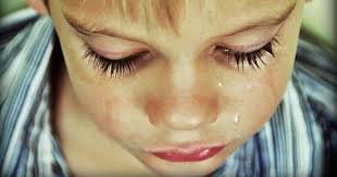 courses and other recources — Advice