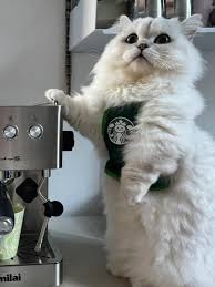 saw this and called my dad immediately 🥺