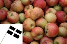 Fruit trees at ty ty nursery, you will find a wide selection with hundreds of different varieties and types of fruit trees for home and commercial growing. Cornish Apple Tree Bundle Offer 6 Apple Trees 87 00 Apple Tree Bundles Apple Trees And Fruit Trees For Sale Buy At Competitive Prices With Wholesale Discounts