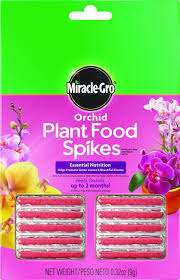 Check spelling or type a new query. Amazon Com Miracle Gro Orchid Plant Food Spikes Pack Of 2 Patio Lawn Garden