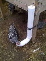 10 Trucs A Ajouter A Votre Poulailler Pour Rendre Vos Poules Heureuses Elles Vont Adorer Poulailler Poulailler Facile Jardin Poulailler