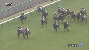 Manage your video collection and share your thoughts. æ¡œèŠ±è³ž2020ç‰¹é›† Netkeiba Com ç«¶é¦¬äºˆæƒ³ çµæžœ é€Ÿå ± ã‚ªãƒƒã‚º å‡ºé¦¬è¡¨ å‡ºèµ°äºˆå®šé¦¬ é¨Žæ‰‹ æ‰•æˆ»ãªã©ç«¶é¦¬æœ€æ–°æƒ…å ±