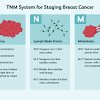 Assessing margins after a lumpectomy or surgical biopsy a pathologist studies the tissue removed during surgery under a microscope and determines whether or not the margins contain cancer cells. 1