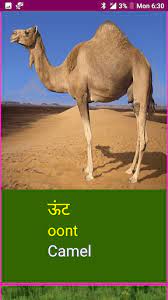 What is camel called in hindi? Download Learn Hindi Wildlife And Body Parts Names Free For Android Learn Hindi Wildlife And Body Parts Names Apk Download Steprimo Com