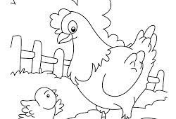 Sisa cangkang telur diantara bunga tulip yang indah. 28 Gambar Kartun Telur Ayam Gambar Kartun Hd