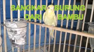 Sediakan bahan serta perlengkapan yang dibutuhkan. Cara Membuat Sangkar Burung Dari Bambu Dan Kipas Angin Youtube