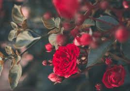 Huge collection, amazing choice, 100+ million high quality, affordable rf and rm images. The Sleeping Beauty Principle How To Recognize And Take Advantage Of Correct Timing For Your Ventures