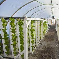 Zipgrow 100 Tower Pack Vertical Hydroponic Growing Technology