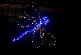 Garden D Lights Photo Gallery Garden Of Lights Photo Galleries Close Image