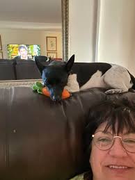 Surprise gifts for 5yo before Disney trip