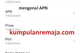 Apn telkomsel modem huawei / dongle. Kumpulan Apn Internet Dari Berbagai Negara Di Dunia Kumpulan Remaja