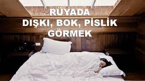 ruyada bok gormek ne anlama gelir nablusi yorumu sonhaberler