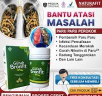 Jual Nikotin Terbaru Online dengan Harga Terbaik | Lazada ...