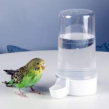 13.5 Oz Pet Bird Water Feeder, Automatic Dispenser for Parakeet, Cockatiel  and Lovebirds in Serbia at RSD 2029, Rating: 4