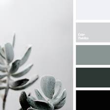 We did not find results for: Grey Colour Color Palette Ideas