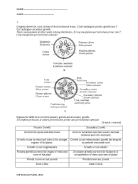 The english for keratan rentas is cross section. Plant Biology Assignment Answers Plant Stem Root