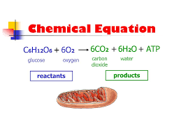 In chemical equations the reactants are written on the left side of the arrow and the products are written on the right side of the equation.photosynthesis6co2 + 6h2o â†' c6h12o6 + 6o2carbon dioxide plus. Energy In Cells Photosynthesis Vs Cellular Respiration Ppt Video Online Download