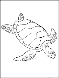 Set off fireworks to wish amer. Free Printable Turtle Coloring Pages For Kids