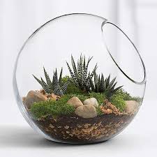 This Modern Spin On The Terrarium Brings Sophistication And Nature To Any Room Our Kit Makes Creating Th Succulent Terrarium Terrariums Kits Succulents Indoor