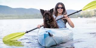 You will not want to do it any other way. Best Kayak For Dogs In 2020 Ultimate Choice Your Dog Friendly Kayak