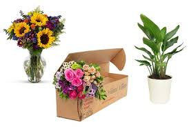 Whether you're going classic with roses or sending wild flowers, make amazon is known for it's speedy delivery and large selection of inventory so it's only natural that now you can order freshly cut flowers through the online. Best Mother S Day Flower Delivery Services Of 2021 People Com